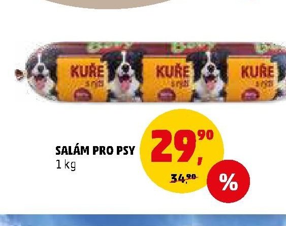 SALÁM PRO PSY