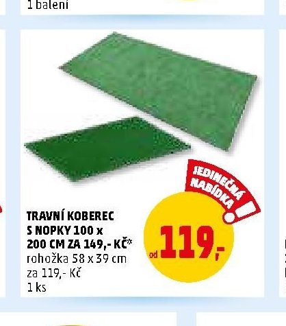 TRAVNÍ KOBEREC