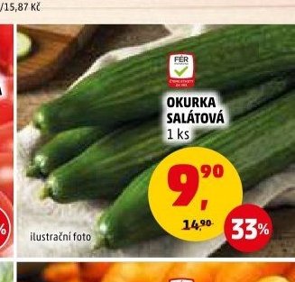 OKURKA SALÁTOVÁ