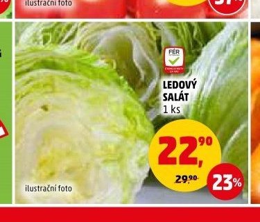 LEDOVÝ SALÁT