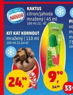 Kaktus