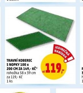 TRAVNÍ KOBEREC