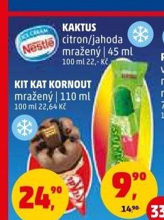 Kaktus