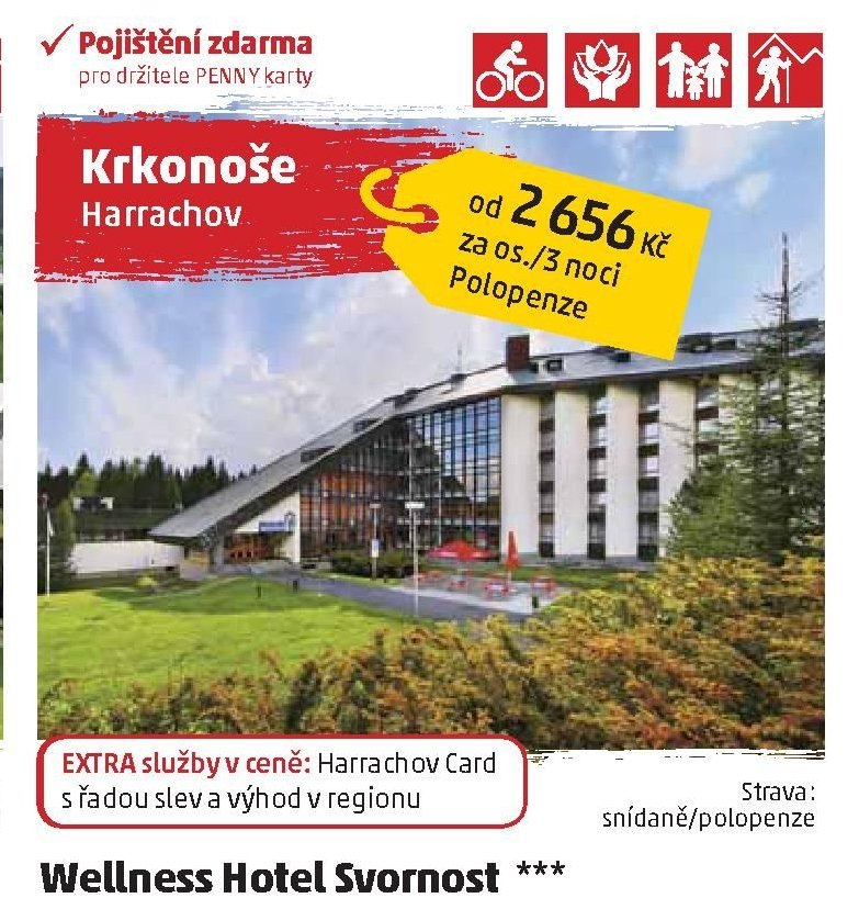 Wellness Hotel Svornost ***