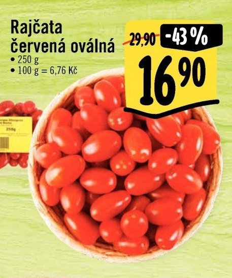 Rajčata červená oválná
