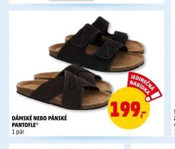 Dámské nebo pánské pantofle