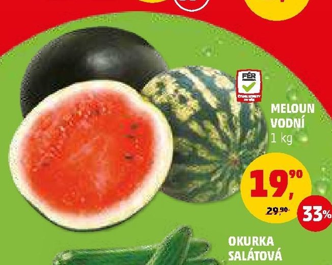 Meloun vodní