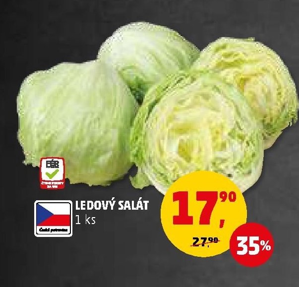 LEDOVÝ SALÁT