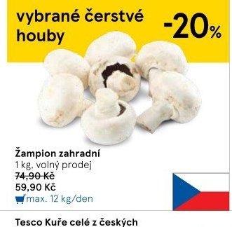 Žampion zahradní