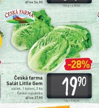 Česká farma Salát Little Gem
