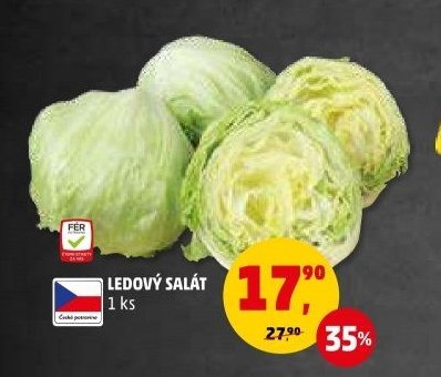 Ledový salát