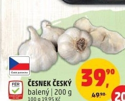 Česnek český