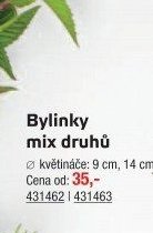 Bylinky mix druhů