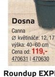 Dosna
