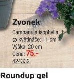 Zvonek
