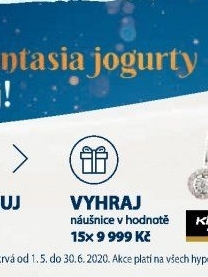 Špenát mražený Dione