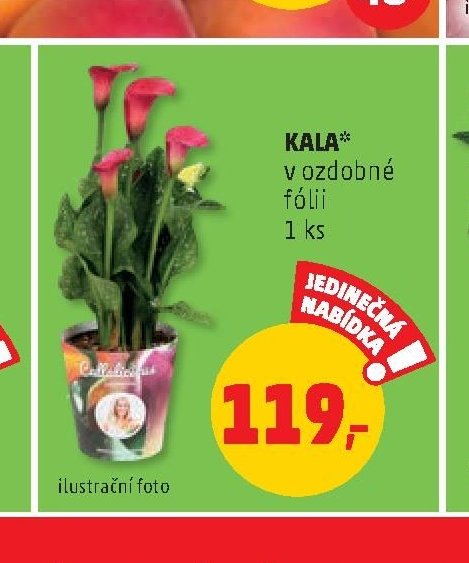 KALA*