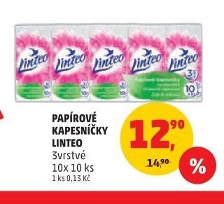 PAPÍROVÉ KAPESNÍČKY LINTEO