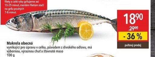 Makrela obecná