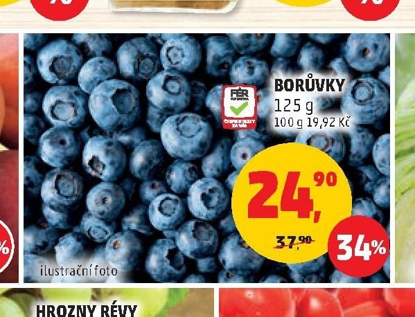 BORŮVKY