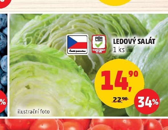 LEDOVÝ SALÁT