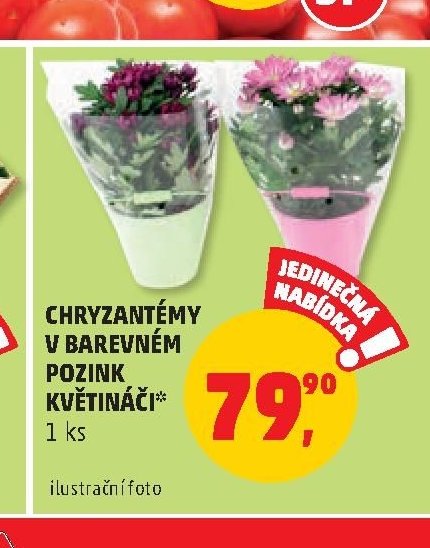 CHRYZANTÉMY V BAREVNÉM KVĚTINÁČI*