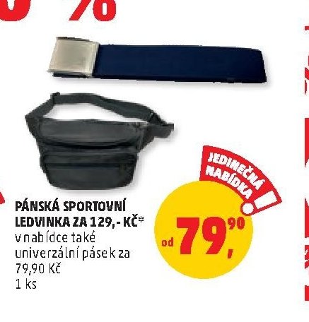 Pánská sportovní ledvinka