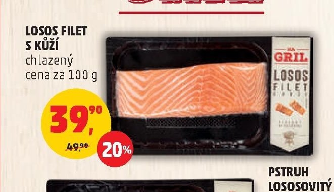 Losos filet s kůží