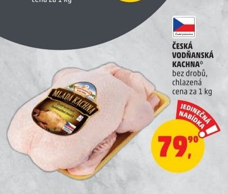 ČESKÁ VODŇANSKÁ KACHNA