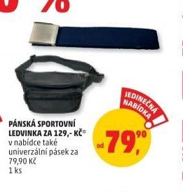 PÁNSKÁ SPORTOVNÍ LEDVINKA