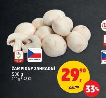 ŽAMPIONY ZAHRADNÍ