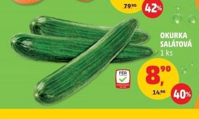 OKURKA SALÁTOVÁ