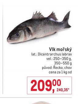 Vlk mořský
