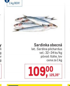 Sardinka obecná