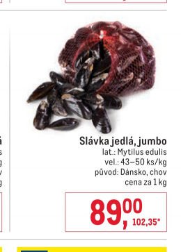 Slávka jedlá, jumbo