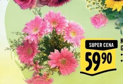 Kytice Gerbera