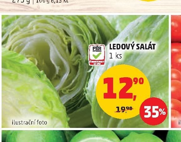 LEDOVÝ SALÁT