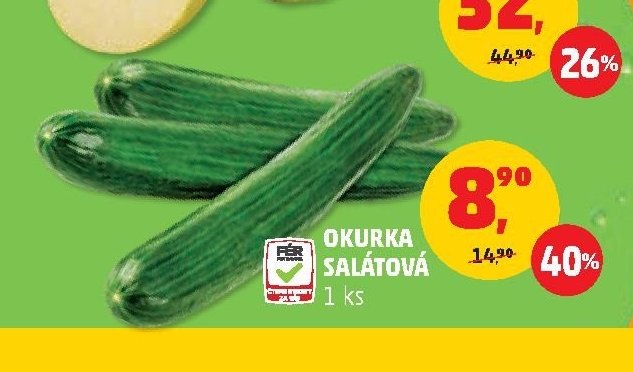 OKURKA SALÁTOVÁ