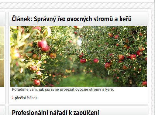 Článek: Správný řez ovocných stromů a keřů - BAUHAUS akcniletaky.com