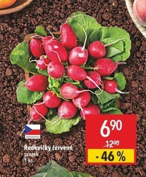 Ředkvičky červené