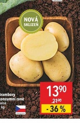 Brambory konzumní rané