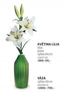 KVĚTINA LILIA - ASKO akcniletaky.com