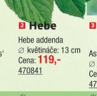 Hebe - UNI HOBBY akcniletaky.com