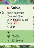 Šalvěj - UNI HOBBY akcniletaky.com