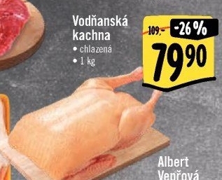 Kachna Vodňanská kachna