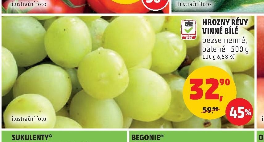 HROZNY RÉVY VINNÉ BÍLÉ
