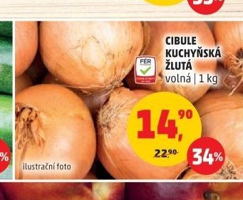 Cibule kuchyňská žlutá