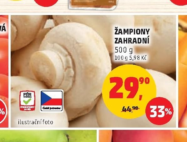 ŽAMPIONY ZAHRADNÍ