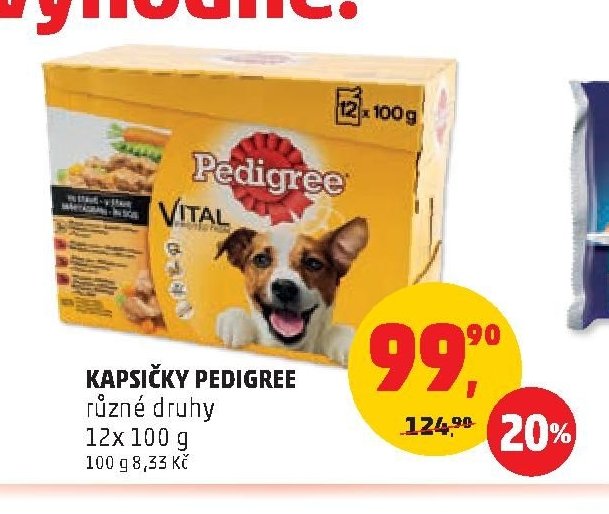 KAPSIČKY PEDIGREE