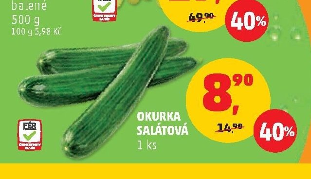 OKURKA SALÁTOVÁ